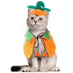 Load image into Gallery viewer, Double-Sided Pumpkin Pet Cloak
