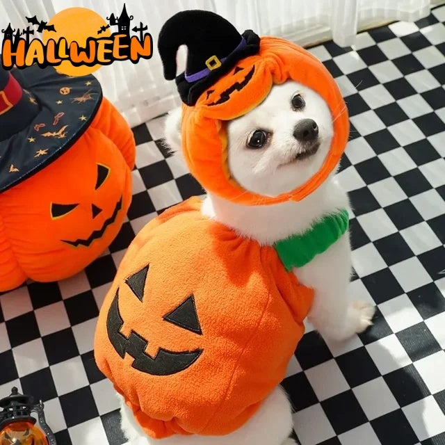 Halloween Pumpkin Harness for Small Pets