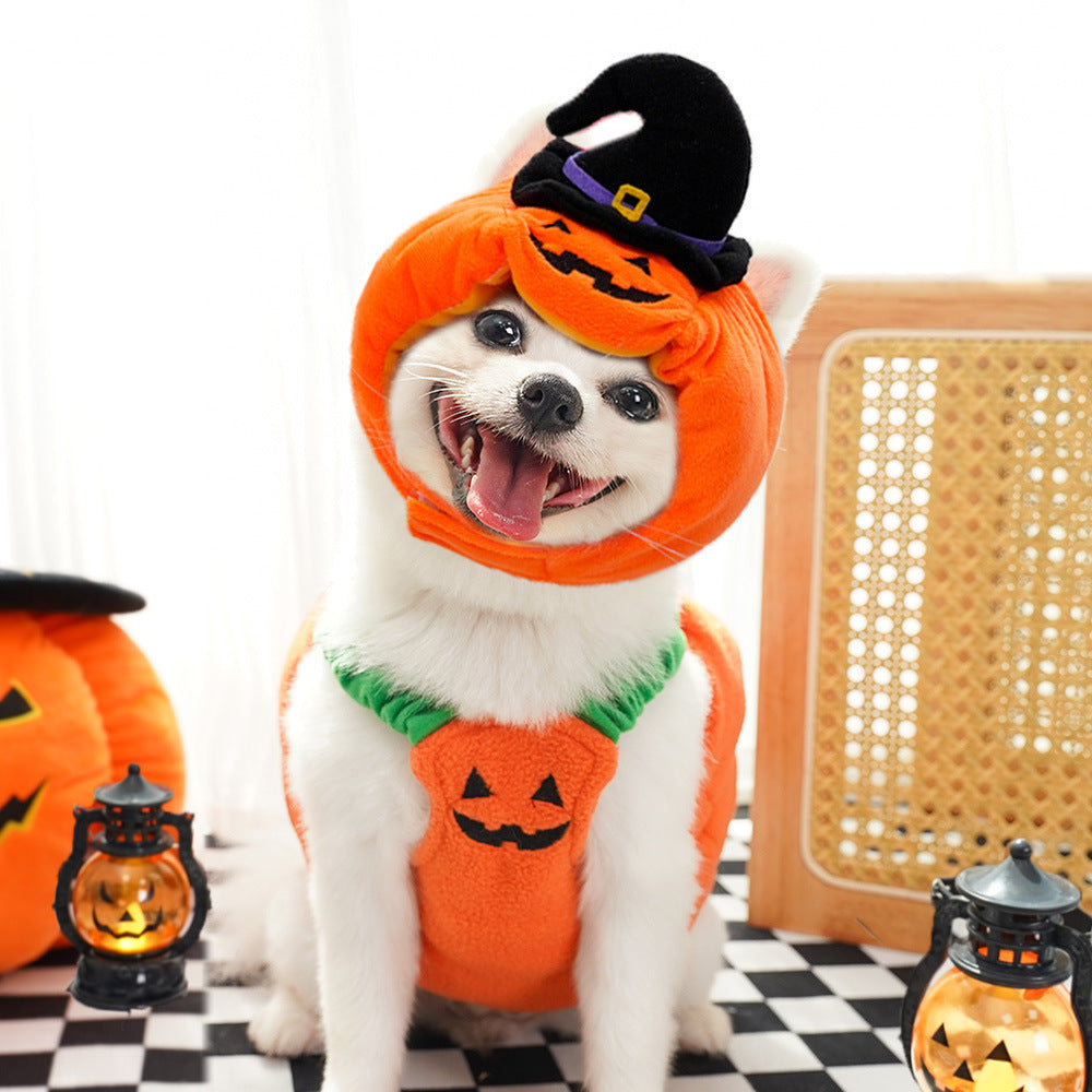 Halloween Pumpkin Harness for Small Pets