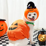 Load image into Gallery viewer, Halloween Pumpkin Harness for Small Pets
