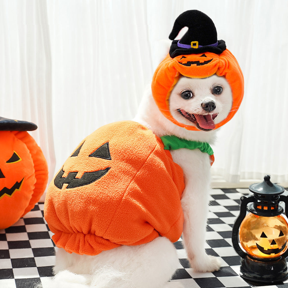 Halloween Pumpkin Harness for Small Pets