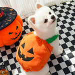 Load image into Gallery viewer, Halloween Pumpkin Harness for Small Pets

