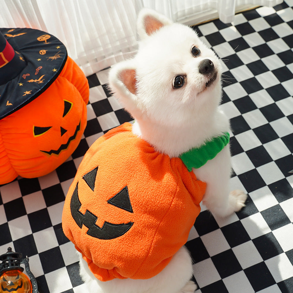 Halloween Pumpkin Harness for Small Pets