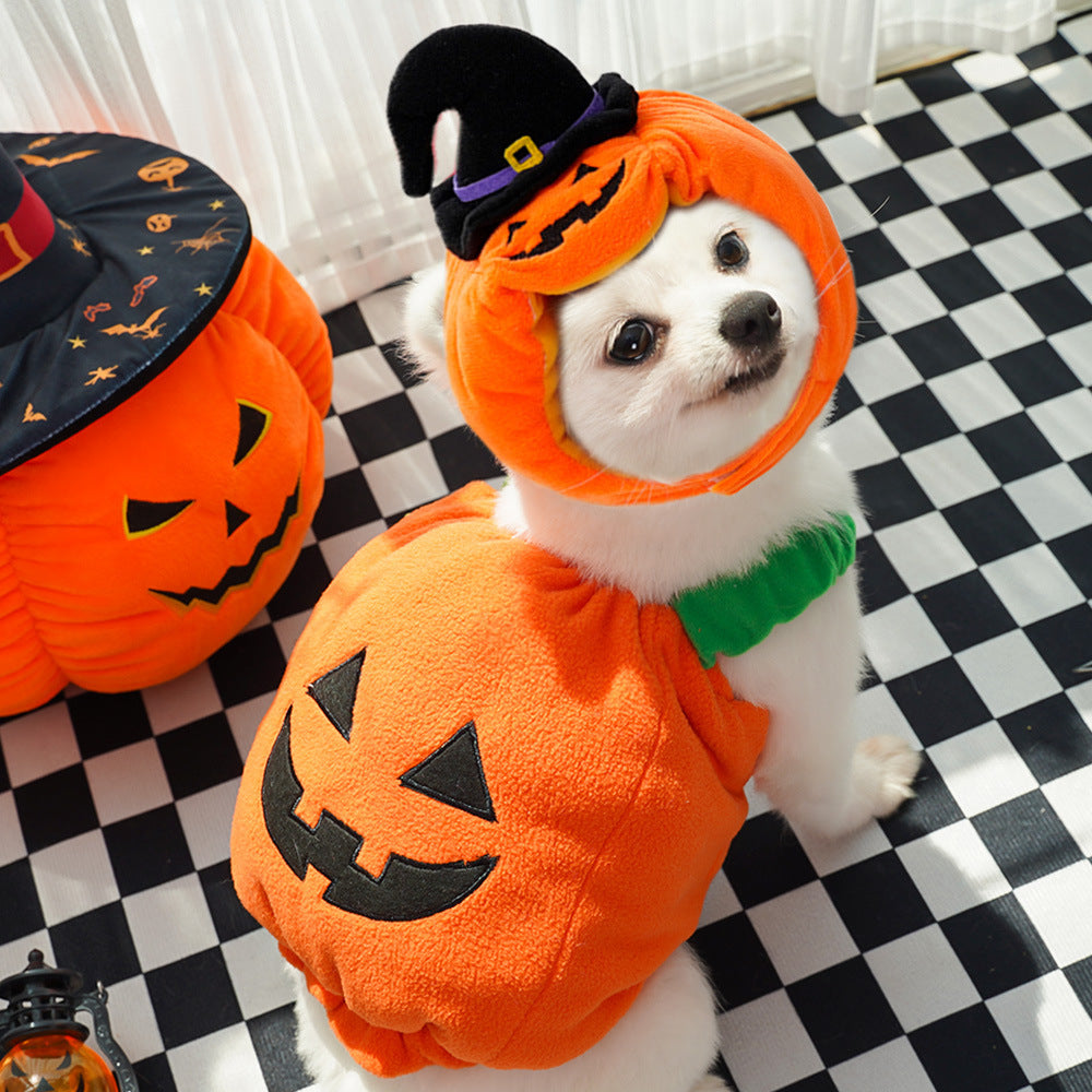 Halloween Pumpkin Harness for Small Pets