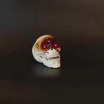 Load and play video in Gallery viewer, video
